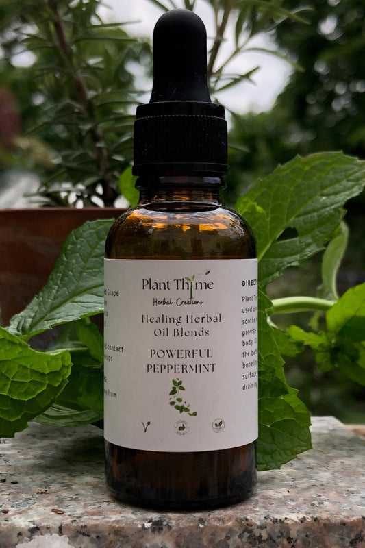 Powerful Peppermint Herbal Infused Oil