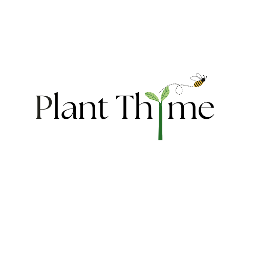 Plant Thyme Herbal Creations